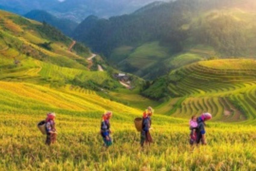 Yên Bái đổi mới sáng tạo, nâng những ước mơ xa