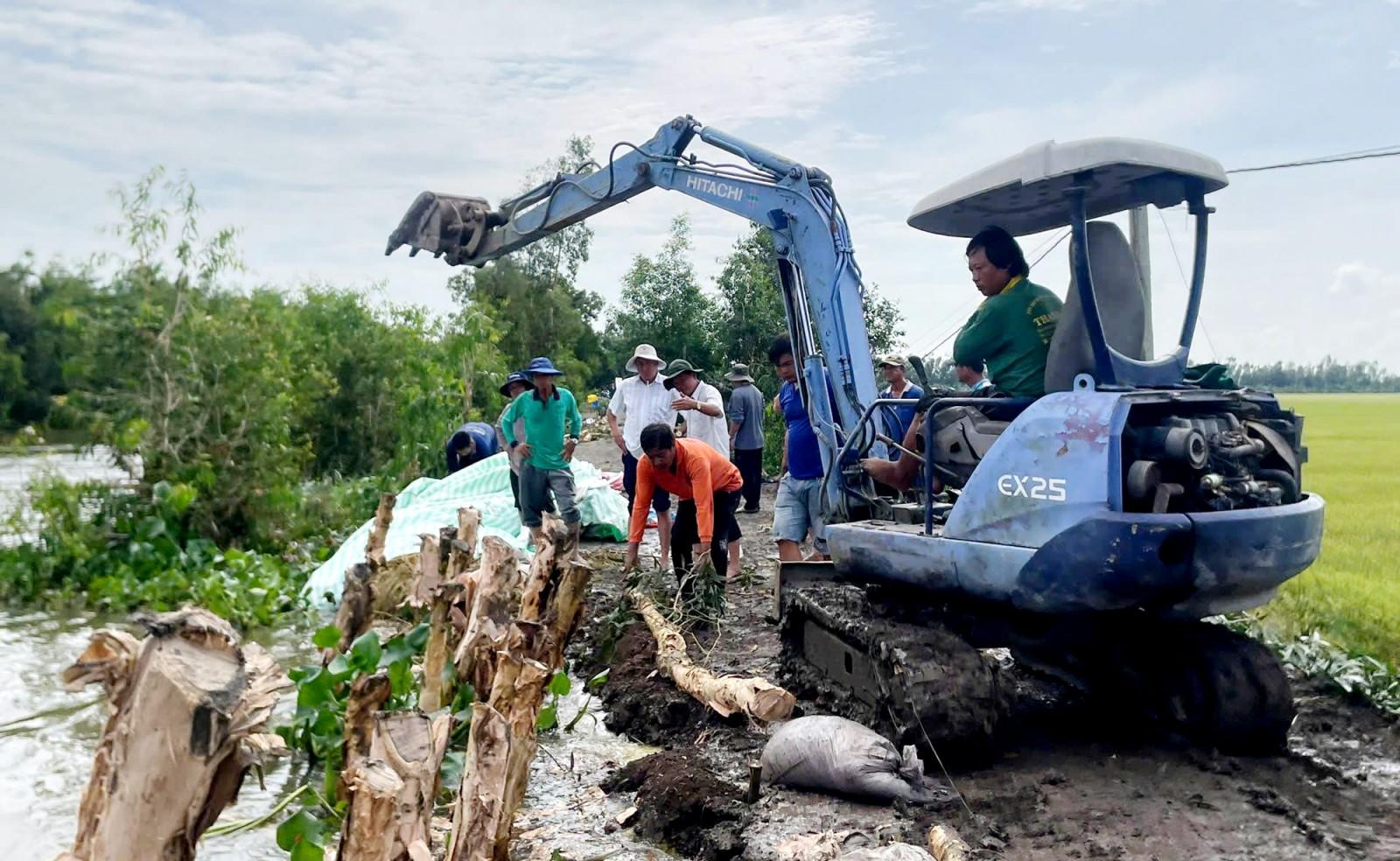 Xã Cô Tô, xã Ba Chúc huy động lực lượng gia cố đê bao tại các điểm xung yếu