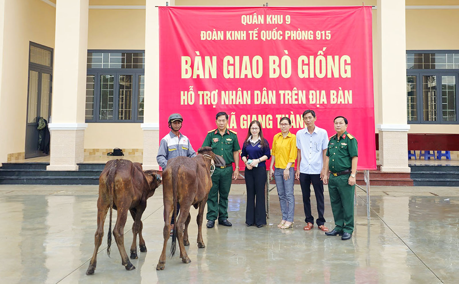 Đoàn Kinh tế Quốc phòng 915 bàn giao 100 con bò giống cho người dân xã Giang Thành