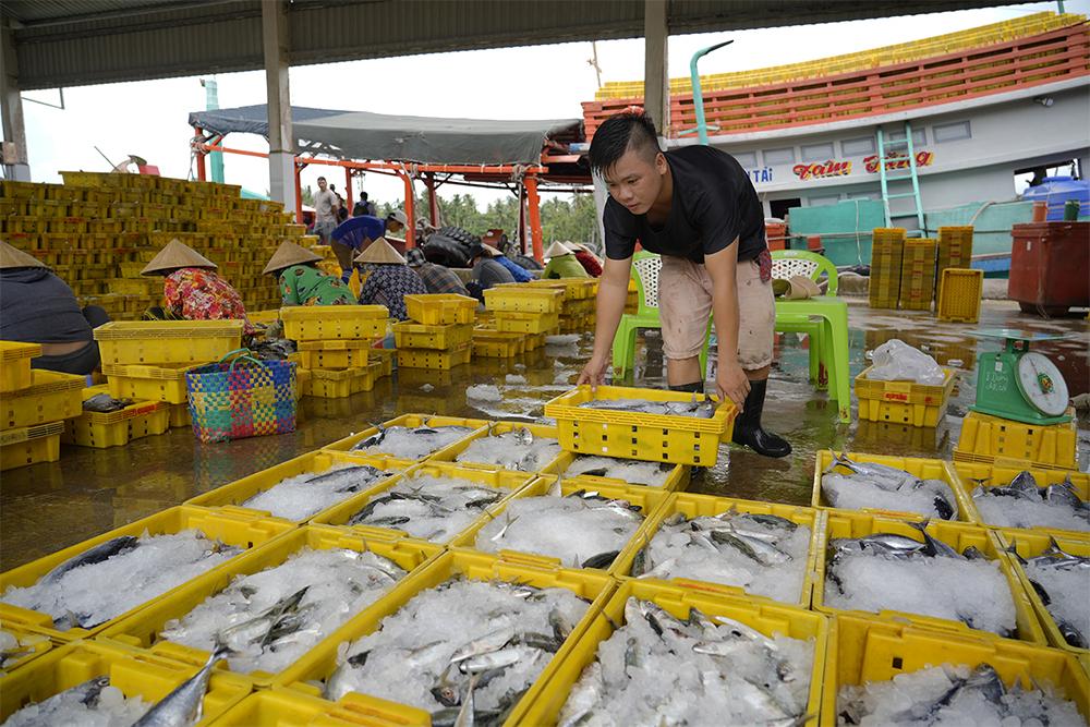 Phát triển kinh tế biển An Giang trở thành trung tâm kinh tế biển mạnh của quốc gia vào năm 2030