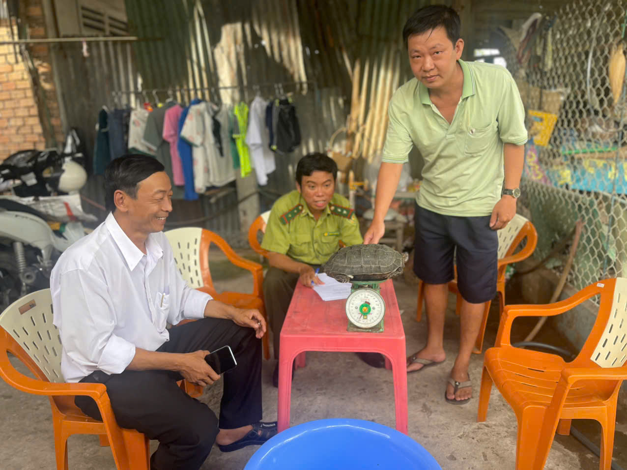 Người dân xã Mỹ Hòa Hưng tự nguyện giao nộp cá thể rùa đất quý hiếm