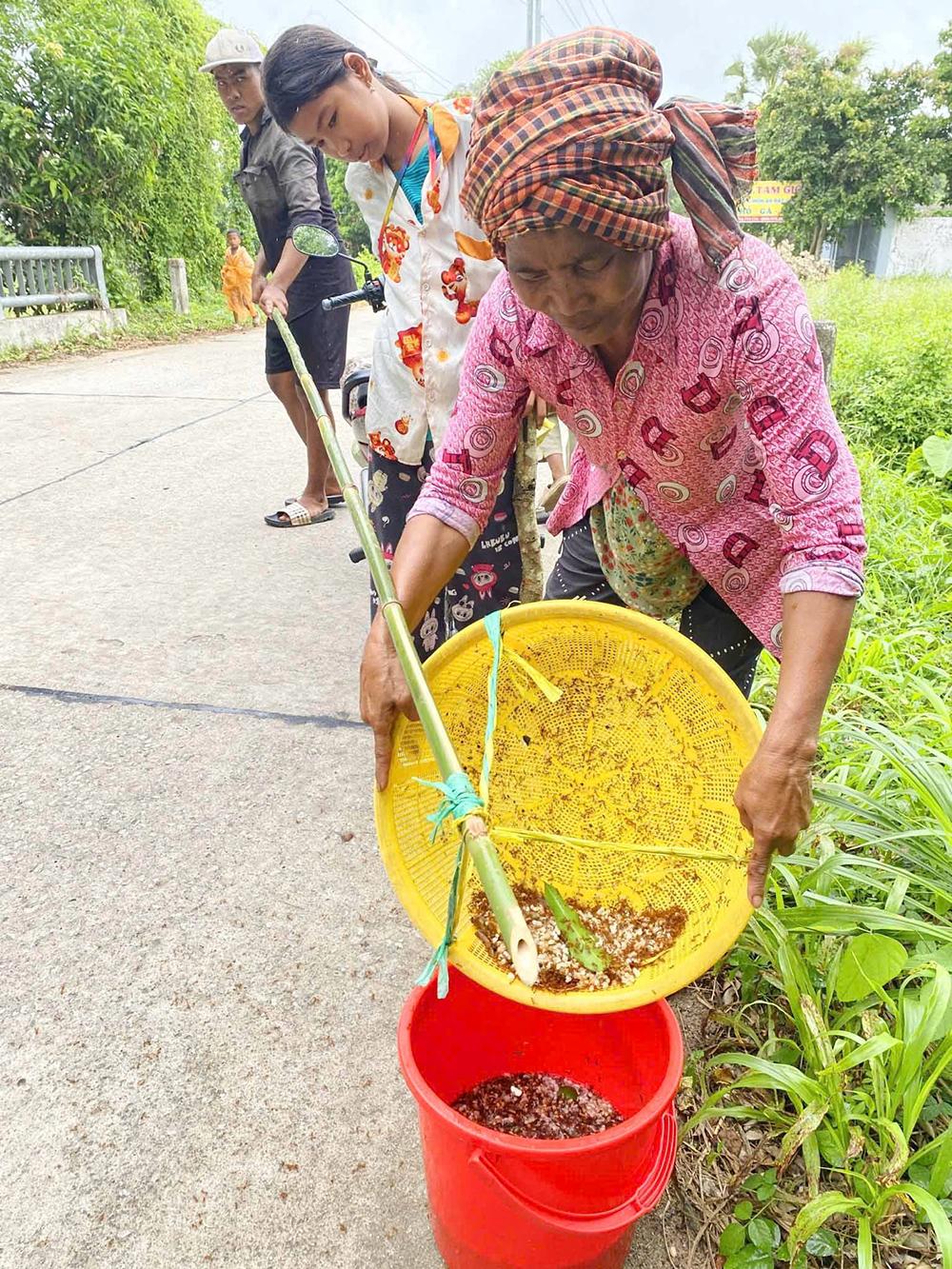 Mùa săn trứng kiến