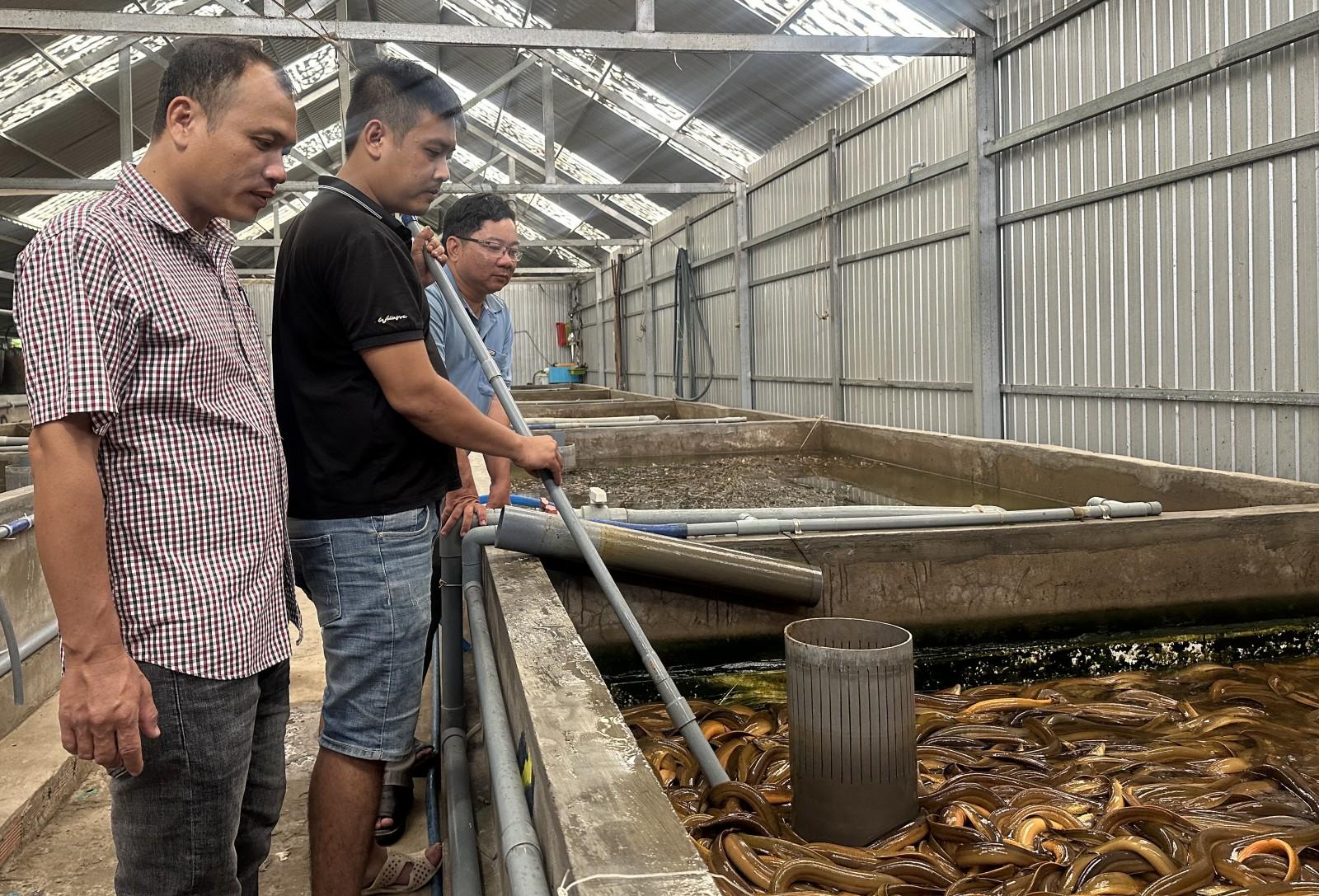 Chuyện về “kỹ sư lươn”