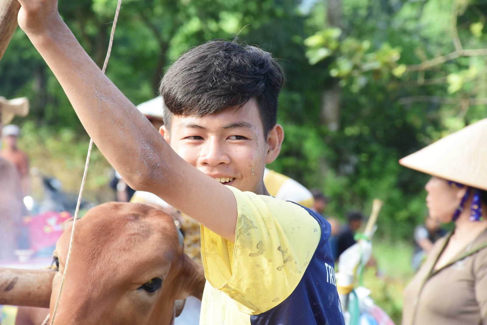 Sôi nổi Hội đua bò truyền thống chùa Rô lần thứ 11 năm 2025