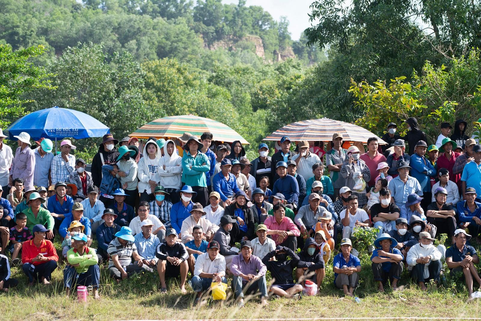 64 đôi bò tranh tài tại Hội Đua bò Bảy Núi tranh cúp truyền hình An Giang lần thứ 30 năm 2025