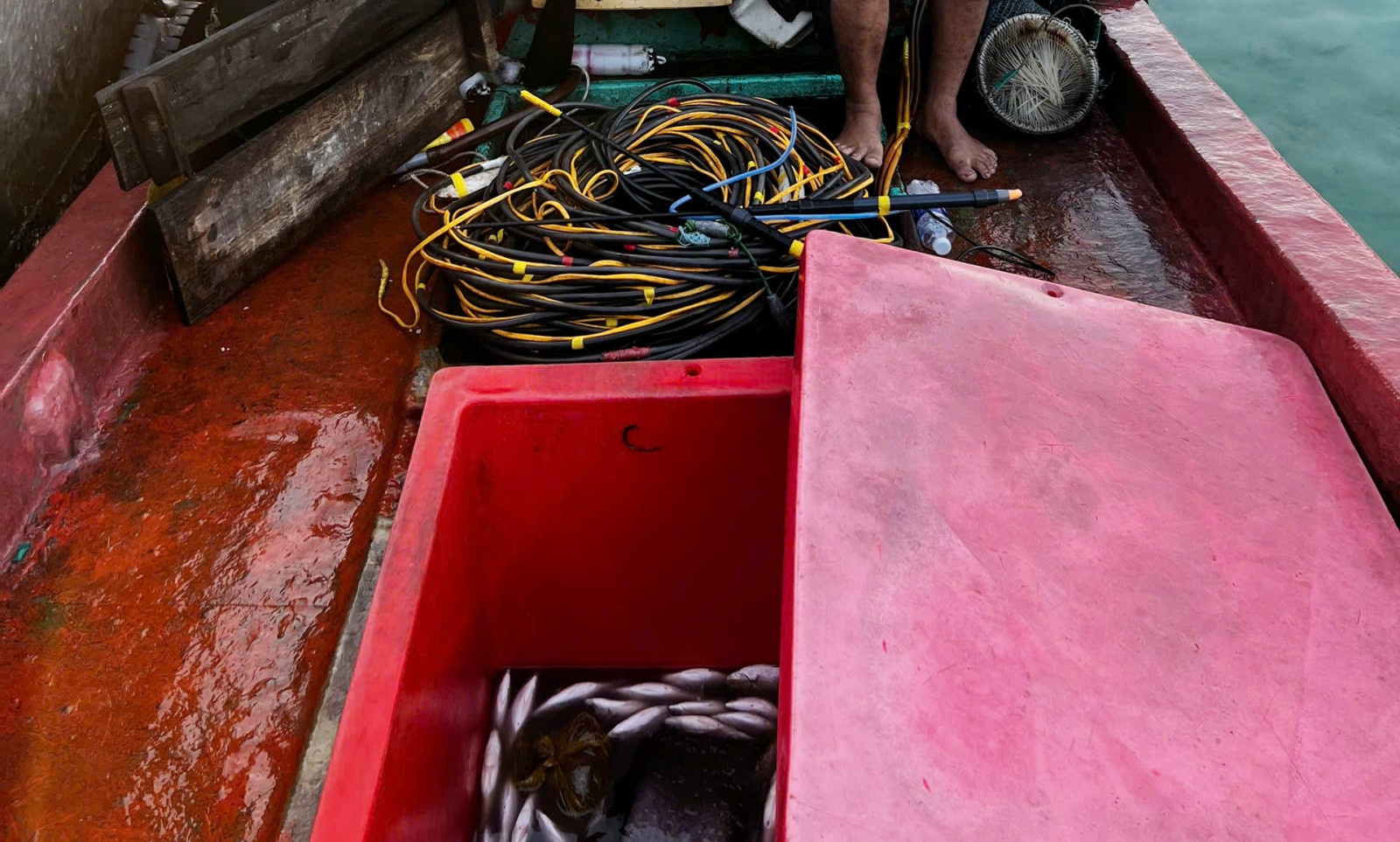 Xử phạt chủ tàu cá tàng trữ công cụ kích điện