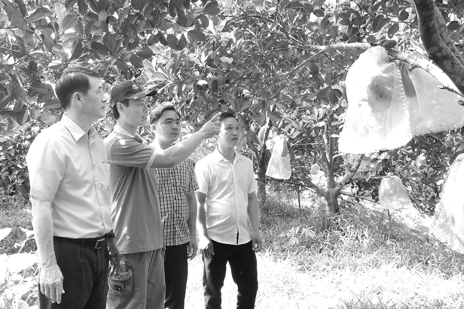 Chung sức dựng xây An Giang kỷ nguyên mới - Bài 2: Đại đoàn kết, sức mạnh bứt phá