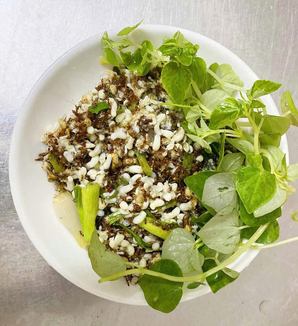 Mùa săn trứng kiến