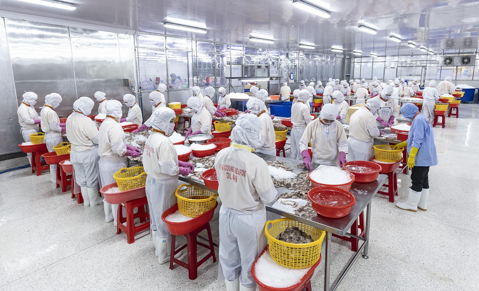 Công nghiệp An Giang tăng tốc, dẫn đầu miền Nam