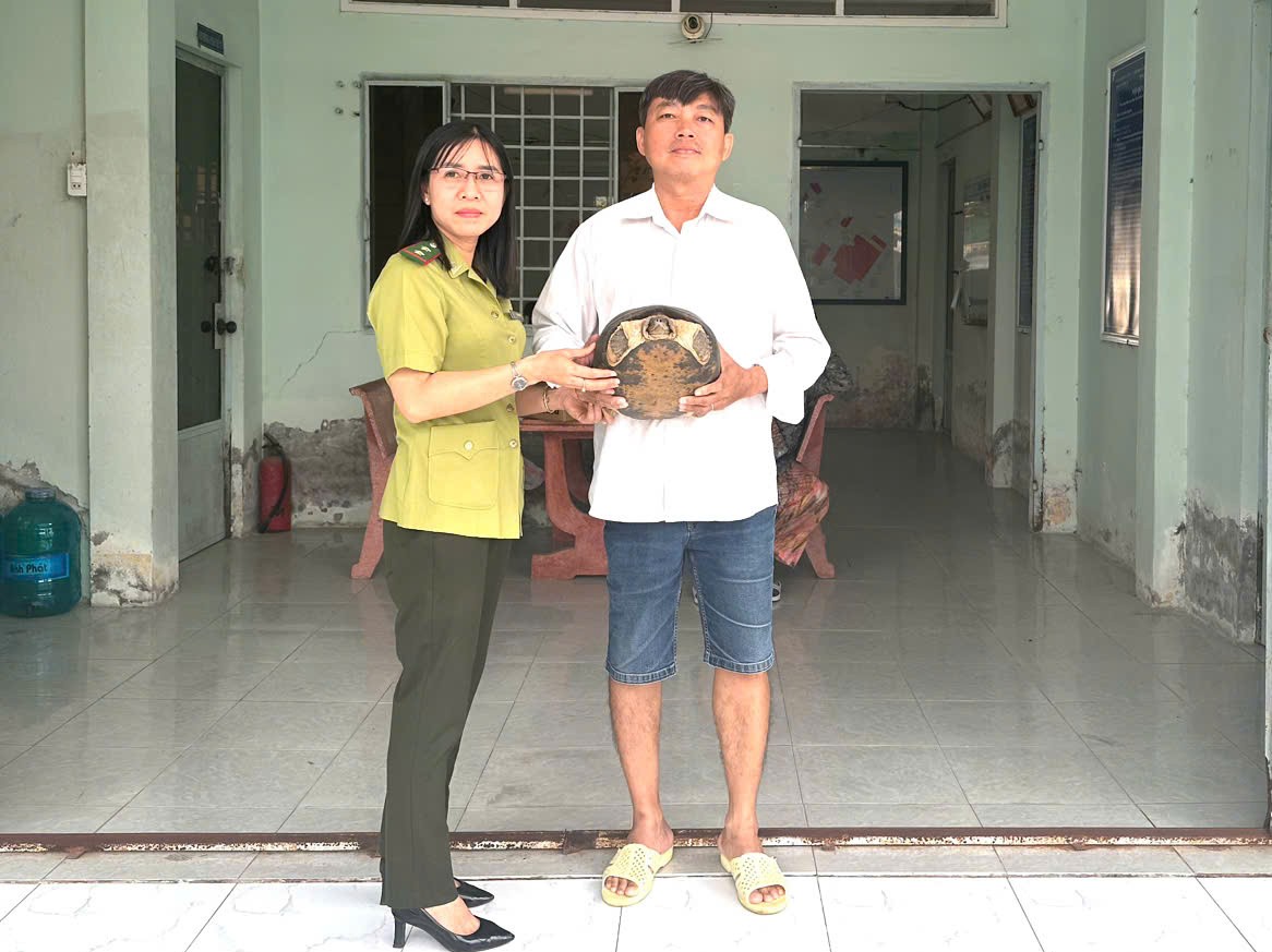 Người dân phường Châu Đốc tự nguyện giao nộp cá thể rùa răng lớn