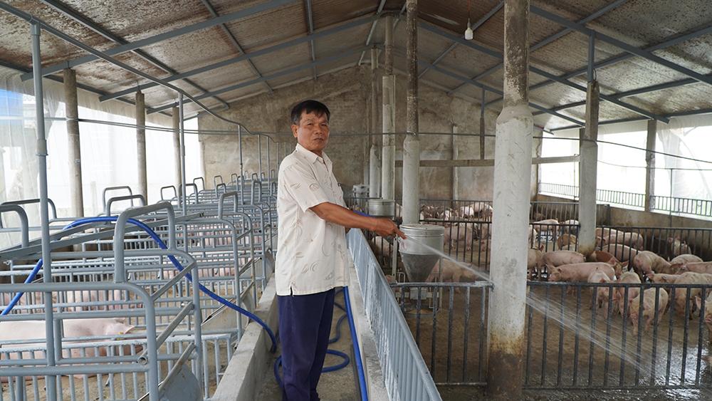 Thương binh trong thời bình