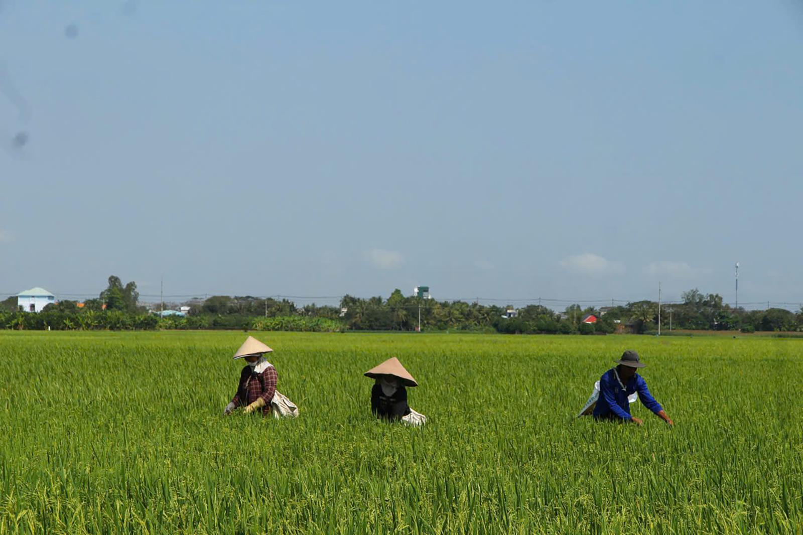 Kỳ vọng sau ngày hội lớn