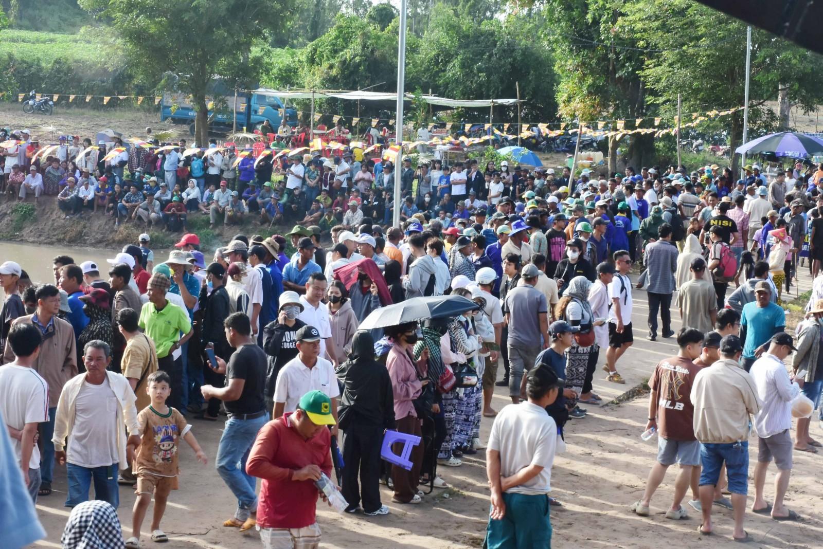 Sôi nổi Hội đua bò truyền thống chùa Rô lần thứ 11 năm 2025