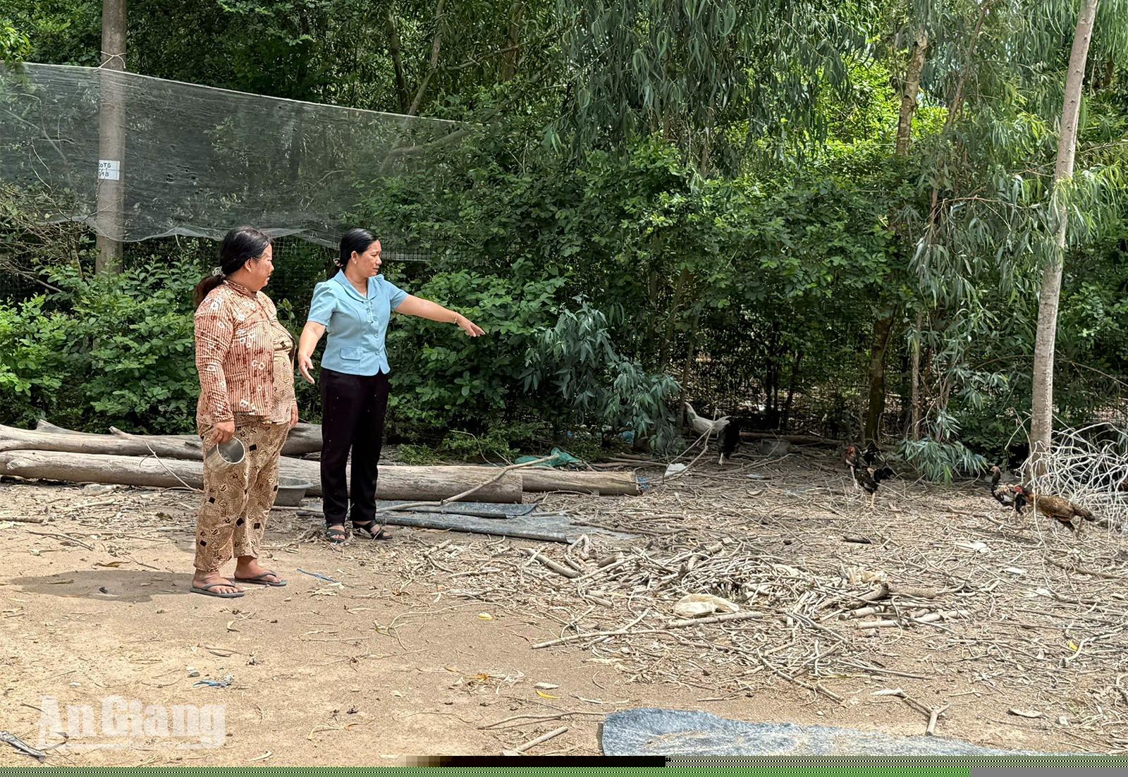 Những điểm tựa an sinh ở Hòa Điền