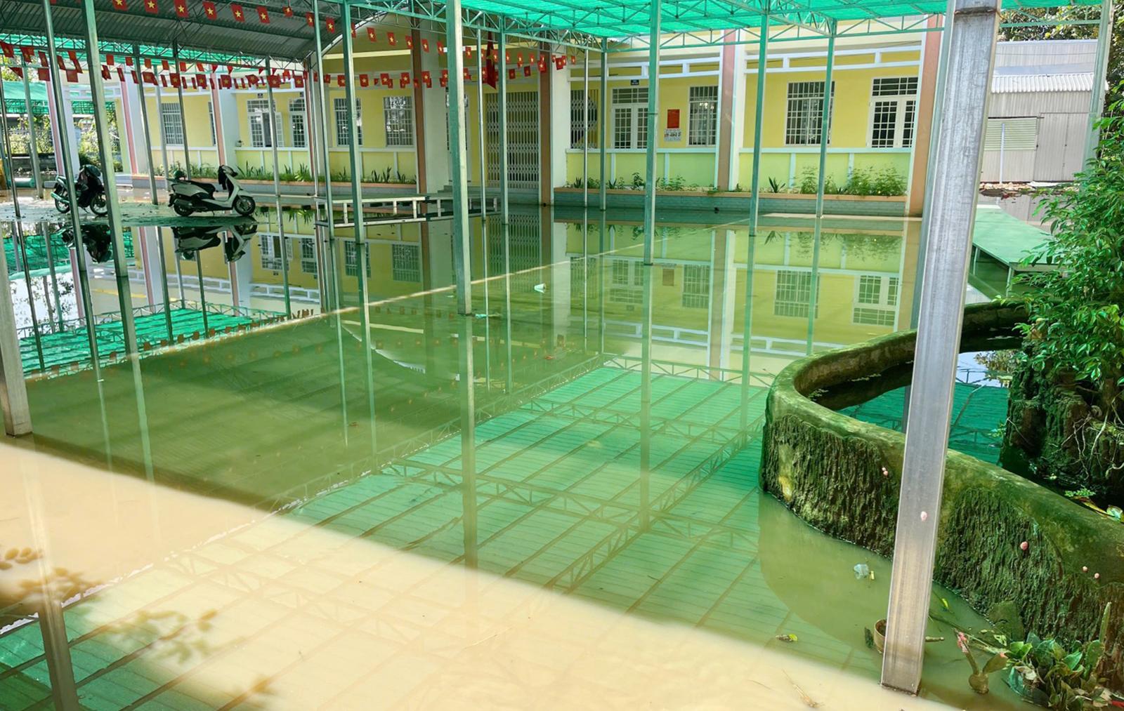 Ngập cục bộ nhiều tuyến đường, trường học và vườn cây ăn trái tại xã Tân Hiệp