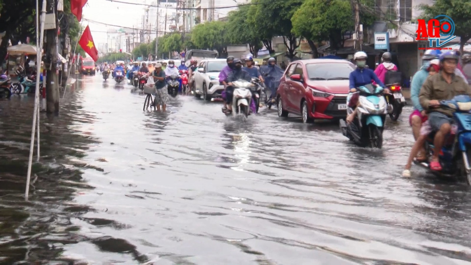 Nhiều tuyến đường tại Long Xuyên ngập sâu do mưa lớn và triều cường