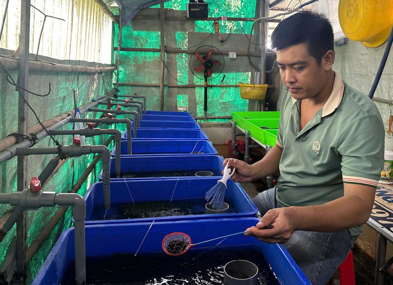 Chuyện về “kỹ sư lươn”