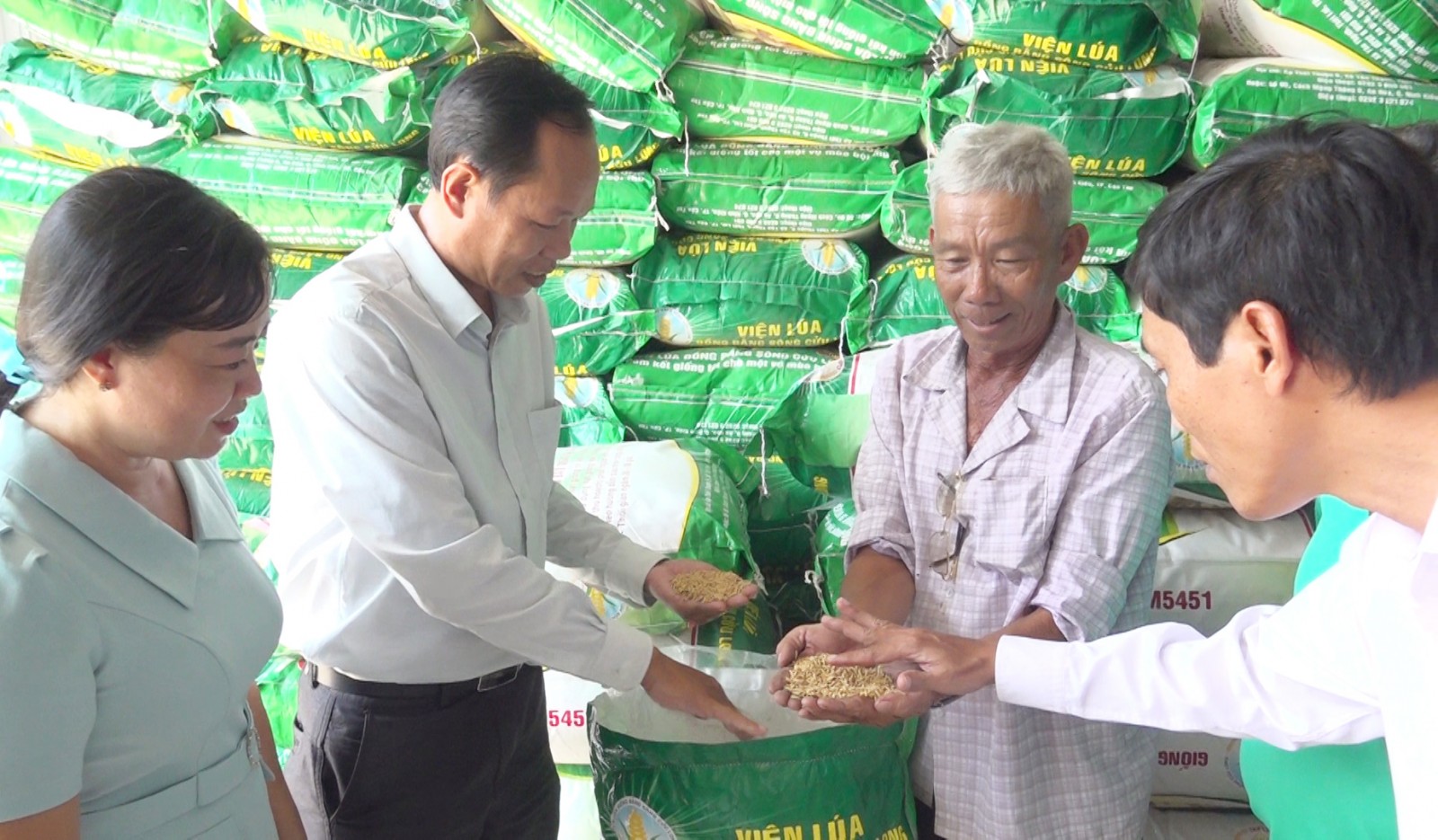 Trồng lúa: Không đổi cách, khó có lời