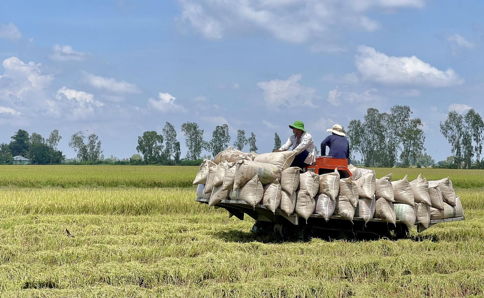 Phát huy vai trò quản lý nhà nước về khoa học, công nghệ