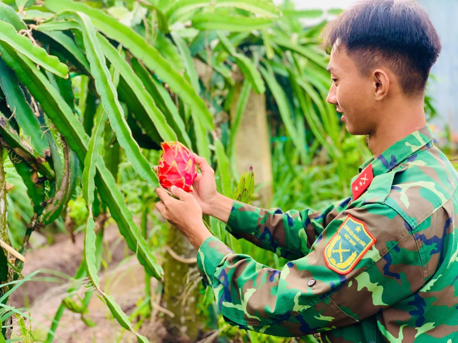 Bộ đội An Giang thi đua lập thành tích chào mừng Đại hội Đảng các cấp