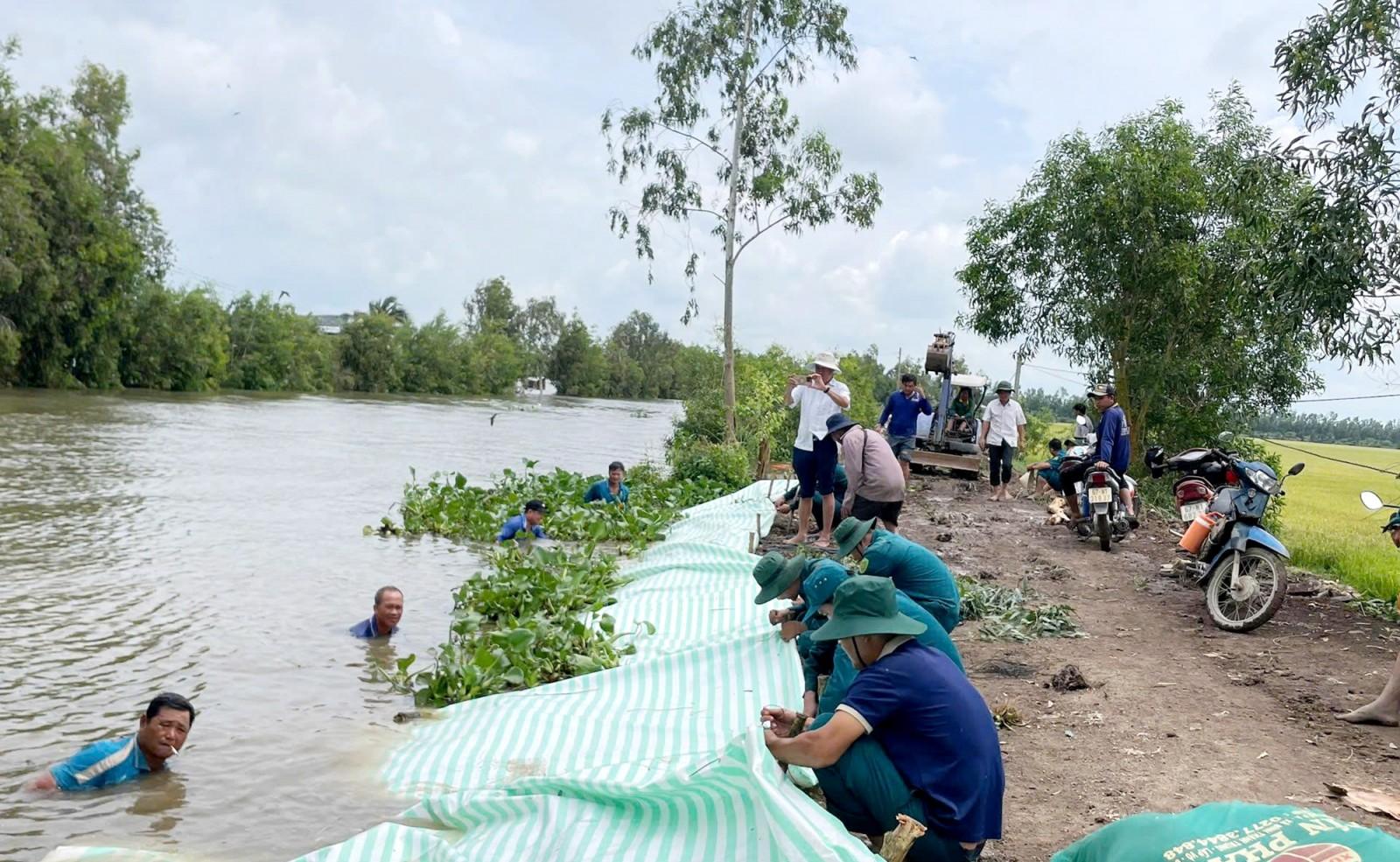 Xã Cô Tô, xã Ba Chúc huy động lực lượng gia cố đê bao tại các điểm xung yếu