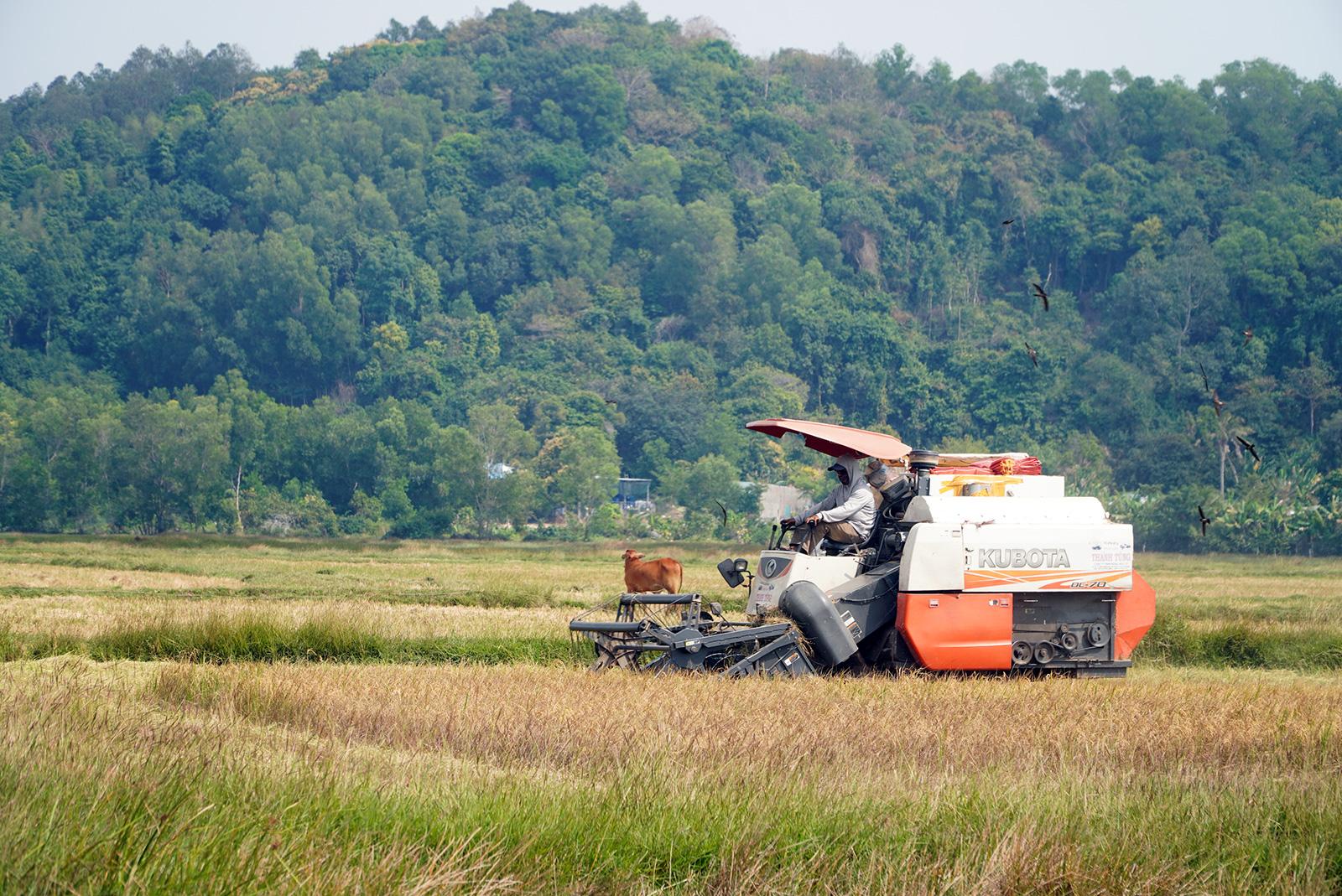 Niềm tin Đại hội XIV vững bền nơi biên cương