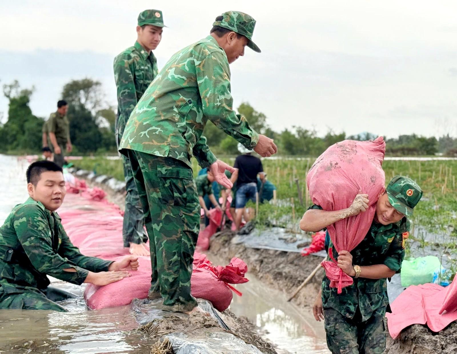 Xã Cô Tô, xã Ba Chúc huy động lực lượng gia cố đê bao tại các điểm xung yếu