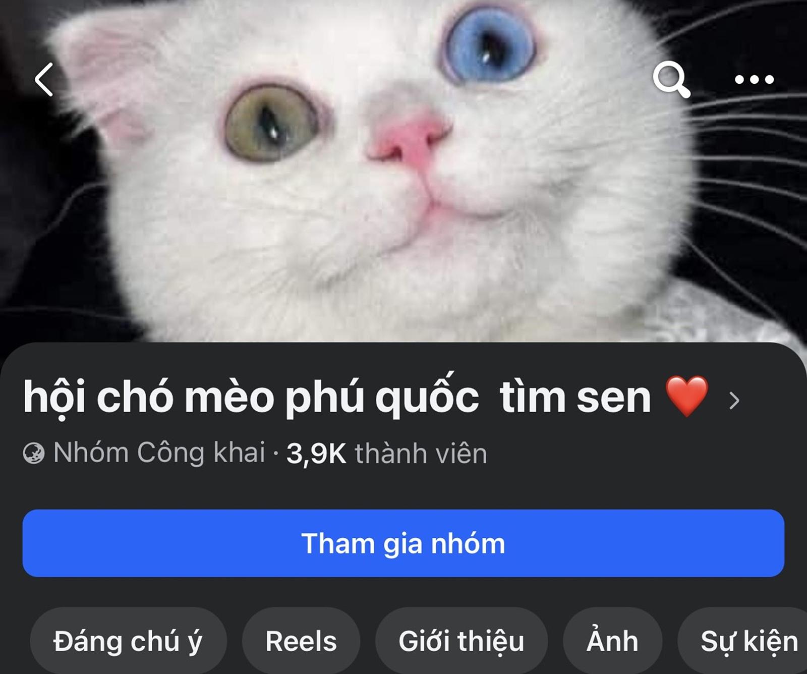 Mất tiền vì “shop ảo”