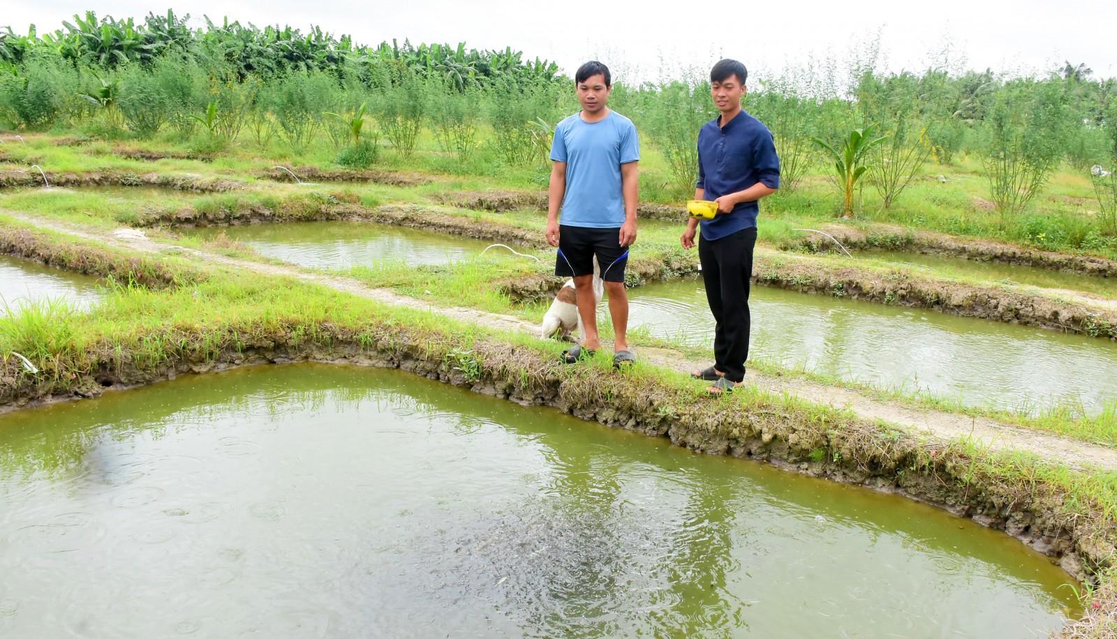 Nông dân đa dạng hóa sản xuất