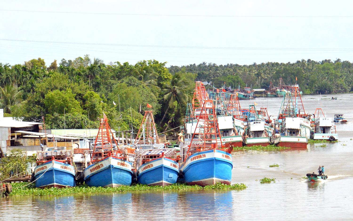 Chuyển đổi nghề cho ngư dân cần chính sách sát thực tế