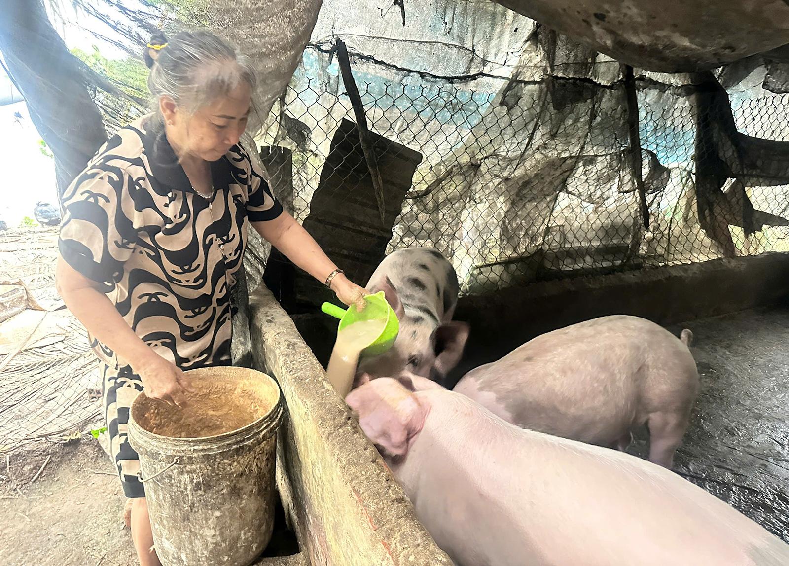 Từ khó khăn vươn lên, ấp Thạnh Tây không còn hộ nghèo