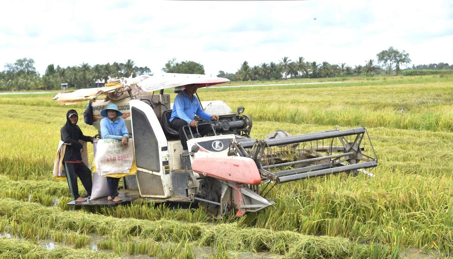 Đảng bộ xã An Biên chú trọng xây dựng Đảng gắn với phát triển kinh tế - xã hội