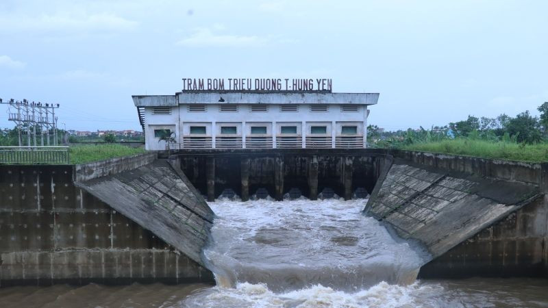 Trạm bơm Triều Dương tỉnh Hưng Yên hoạt động bơm tiêu úng cứu lúa.