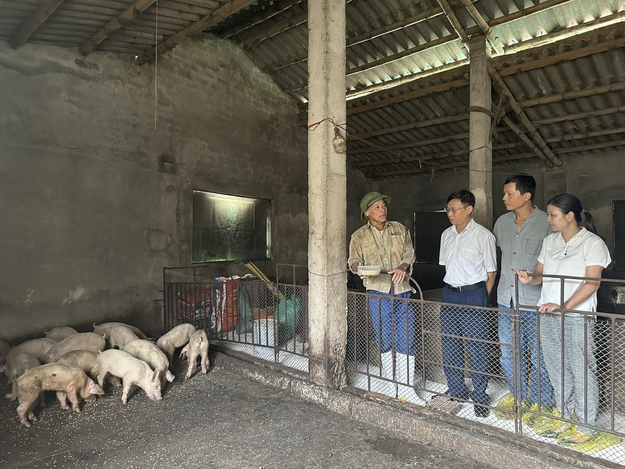 Cán bộ Chi cục Chăn nuôi và Thú y tỉnh kiểm tra công tác phòng chống DTLCP tại xã Kim Sơn.