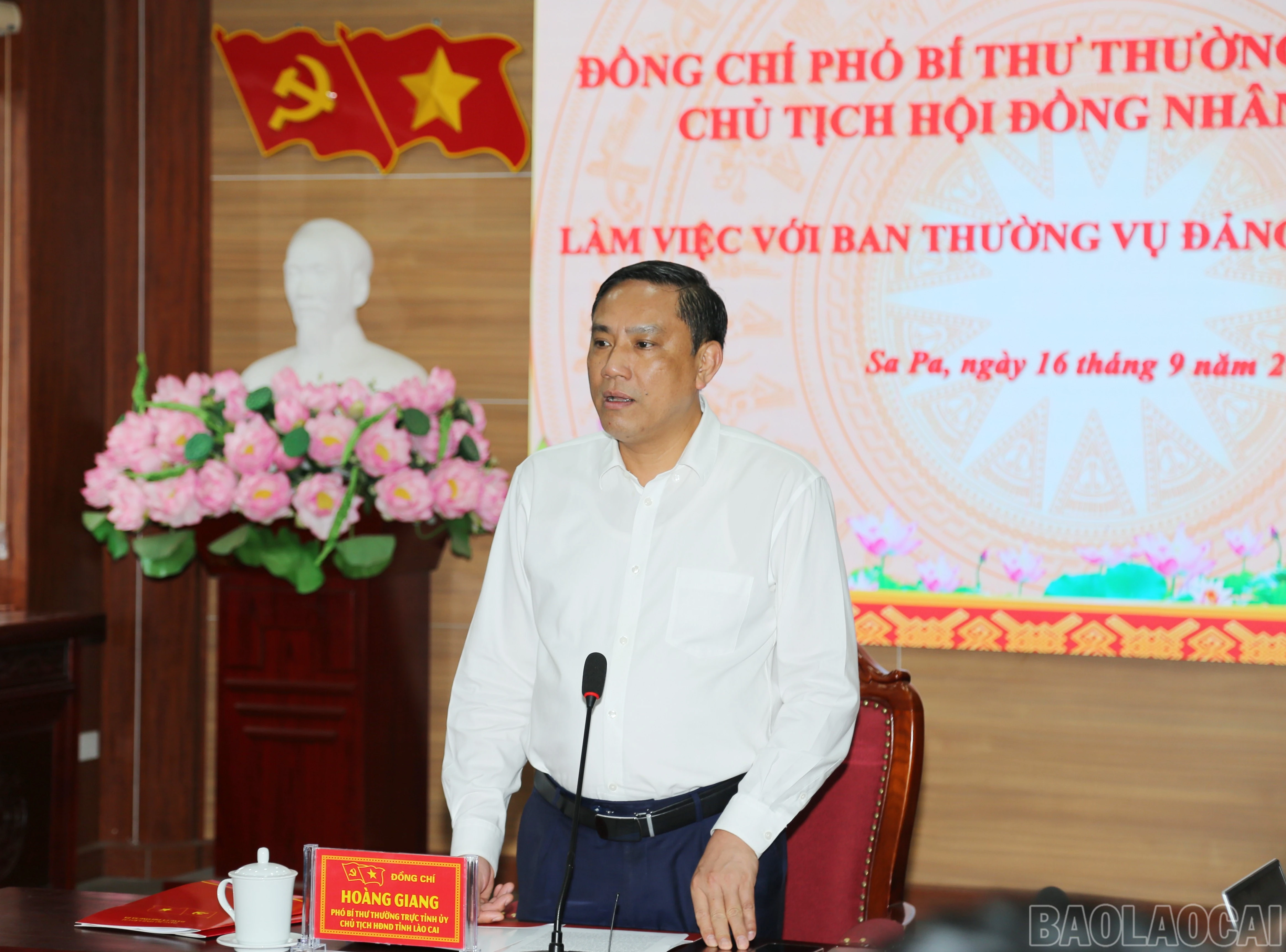 baolaocai-br_a-6.jpg