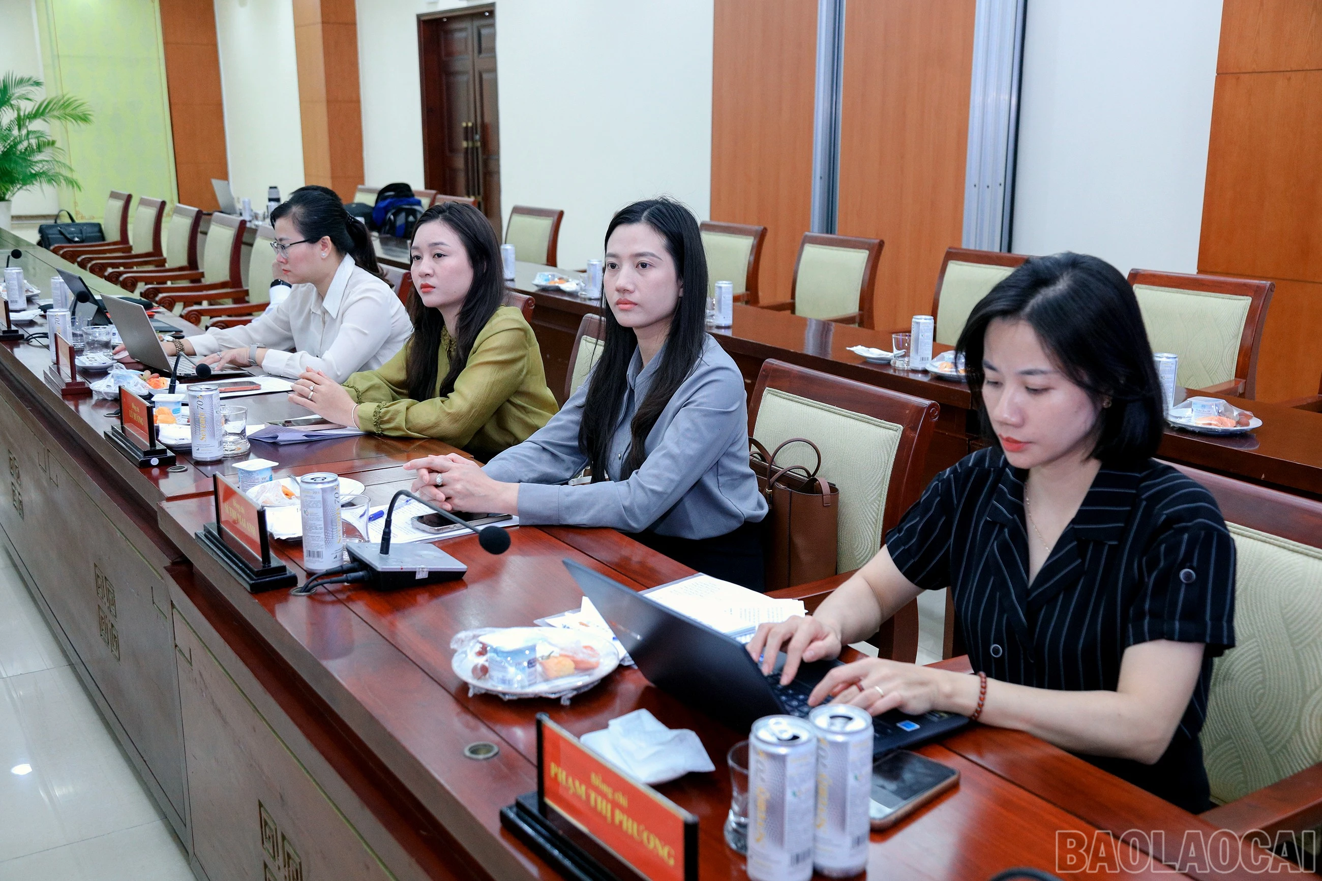 baolaocai-br_7j5a7542.jpg