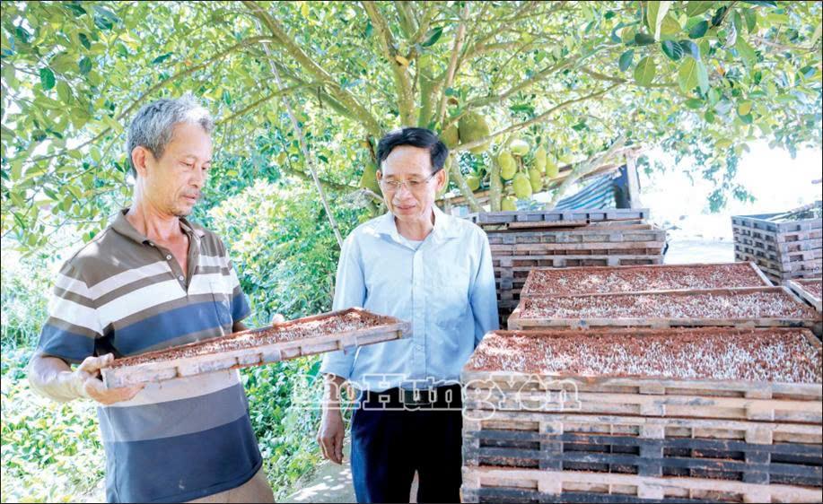 Nhiều hộ nông dân áp dụng phương thức mạ khay cấy máy.