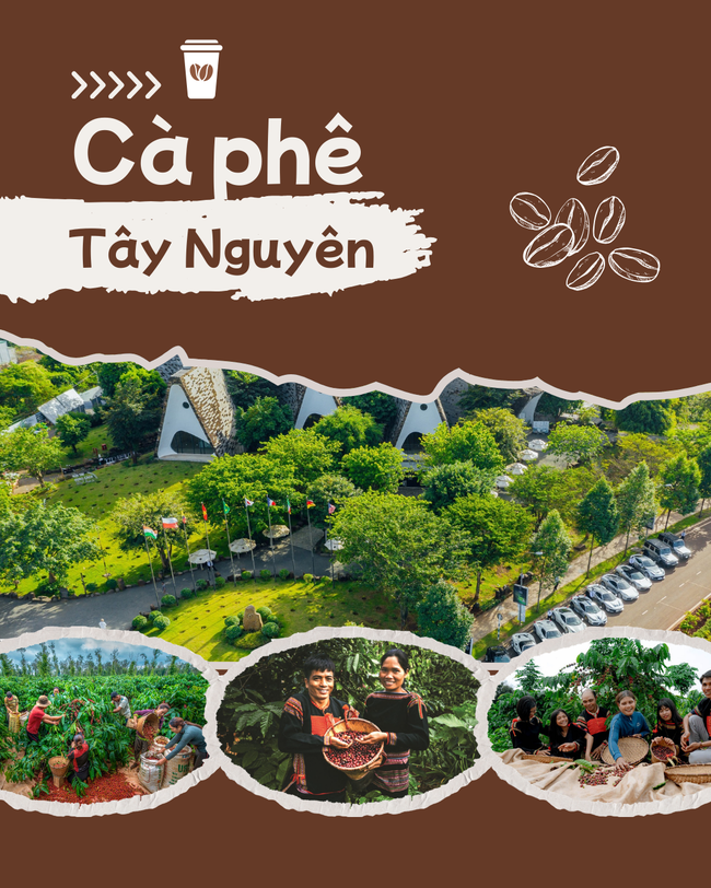 Cà phê Tây Nguyên: Di sản văn hóa, sinh kế bền vững của đồng bào dân tộc thiểu số và tầm vóc quốc tế - Ảnh 1.