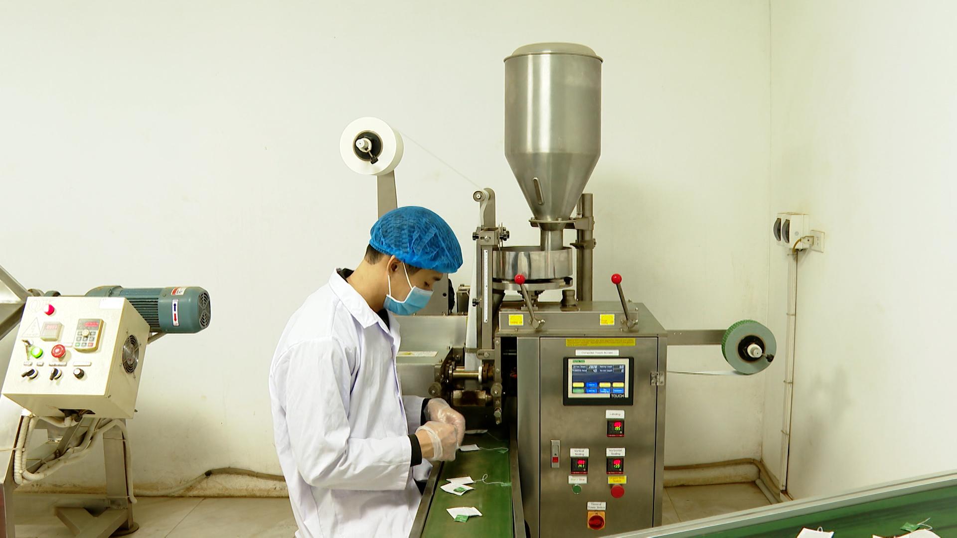 HTX n&ocirc;ng nghiệp đầu tư m&aacute;y m&oacute;c, trang thiết bị hiện đại v&agrave;o quy tr&igrave;nh sản xuất.