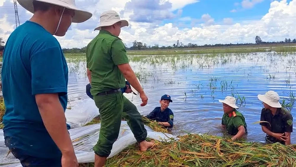 Nhận diện và phòng ngừa âm mưu lợi dụng “quyền dân tộc tự quyết”