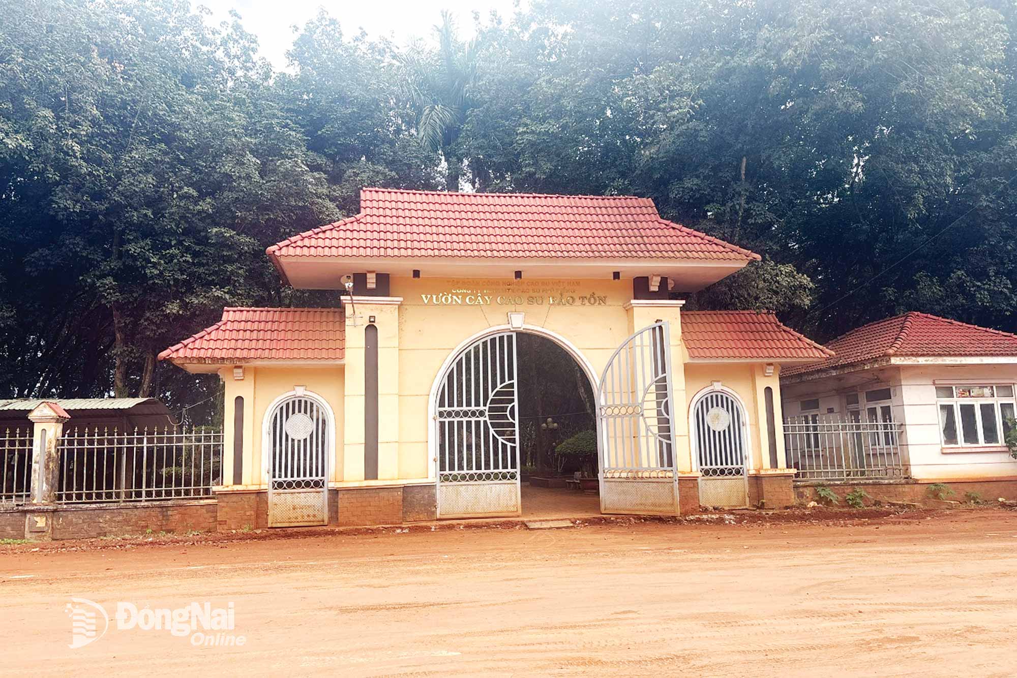 Cổng vào vườn cây cao su bảo tồn. Ảnh: Ngọc Thảo