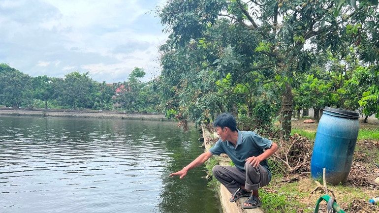 Ông Tuấn đào ao, đắp nền cho vườn nhãn cao hơn. 1-2nha-nong-thoi-dai-moi-3-1574.jpg