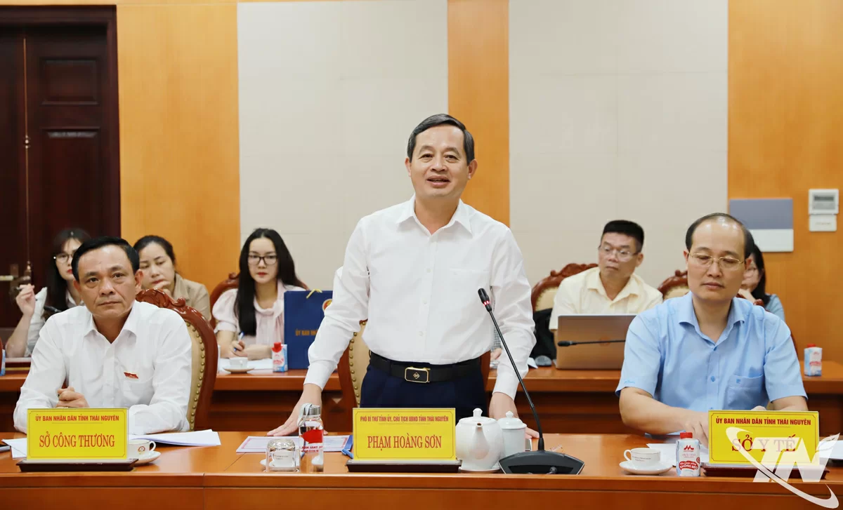 Đồng chí Chủ tịch UBND tỉnh Phạm Hoàng Sơn phát biểu tại buổi làm việc.