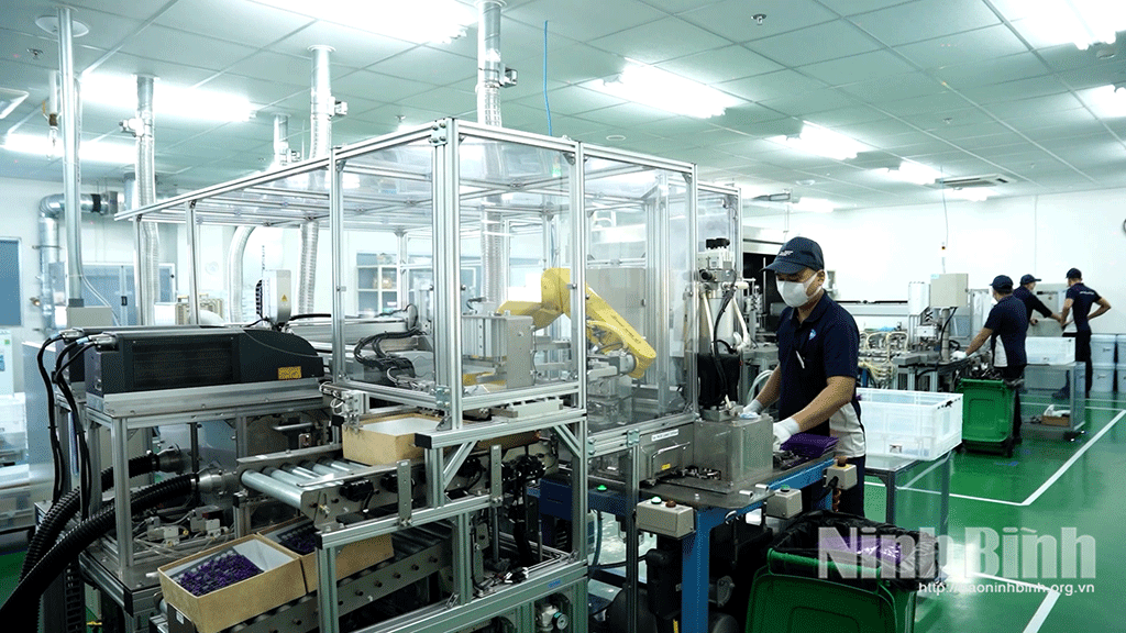 Doanh nghiệp nâng cao năng lực xuất nhập khẩu