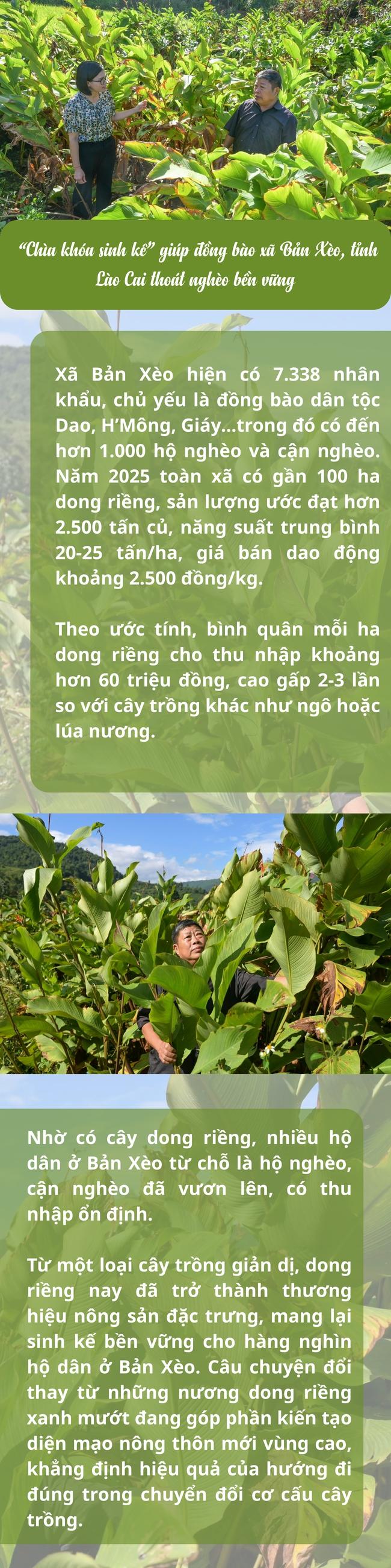 Infographic: Cây dong riềng - “chìa khóa sinh kế” giúp thoát nghèo bền vững - Ảnh 1.