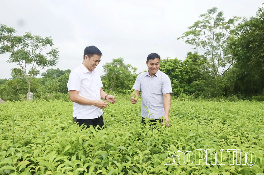 Trở lại Yên Kỳ
