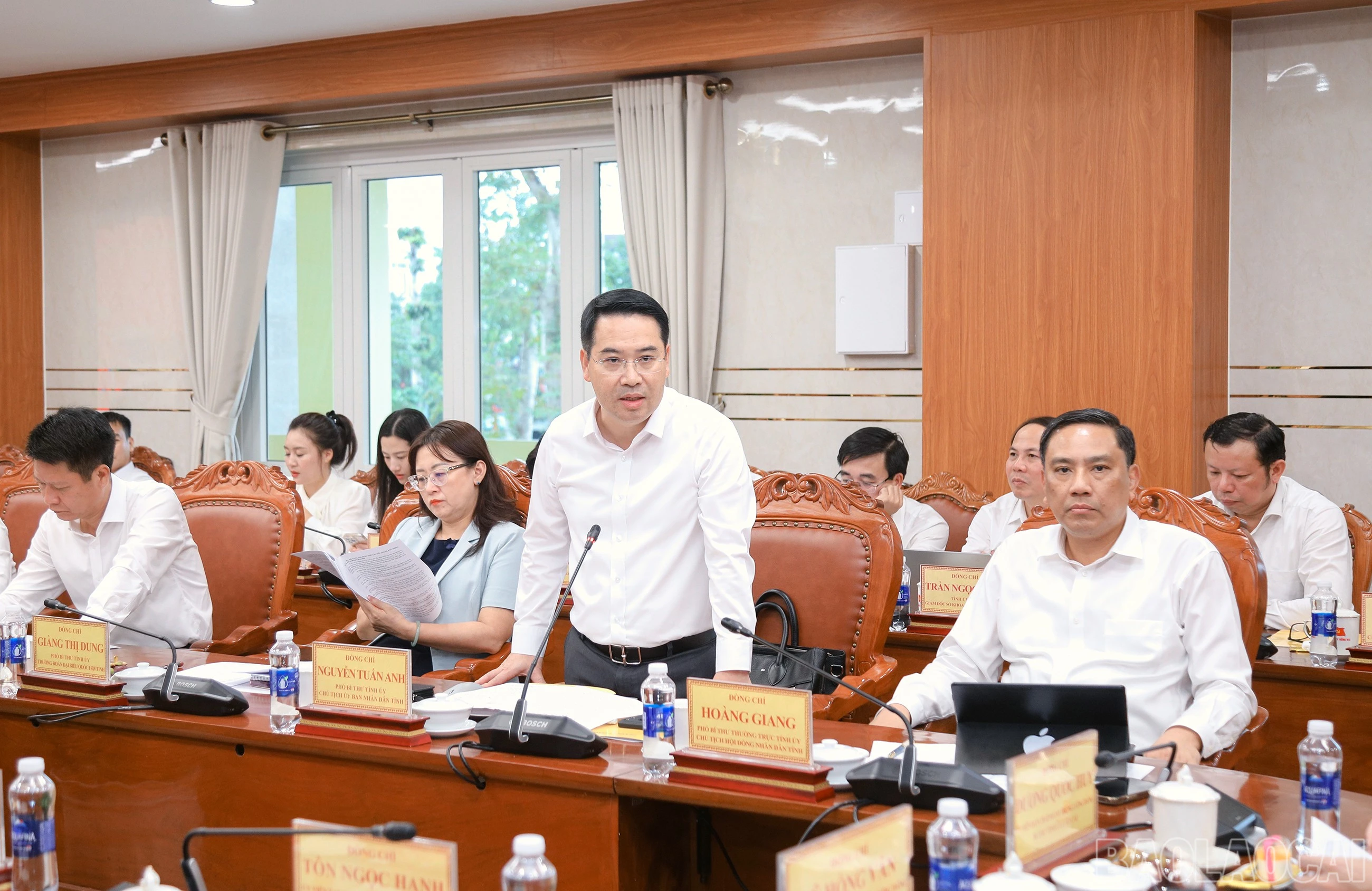 baolaocai-br_7j5a7343.jpg
