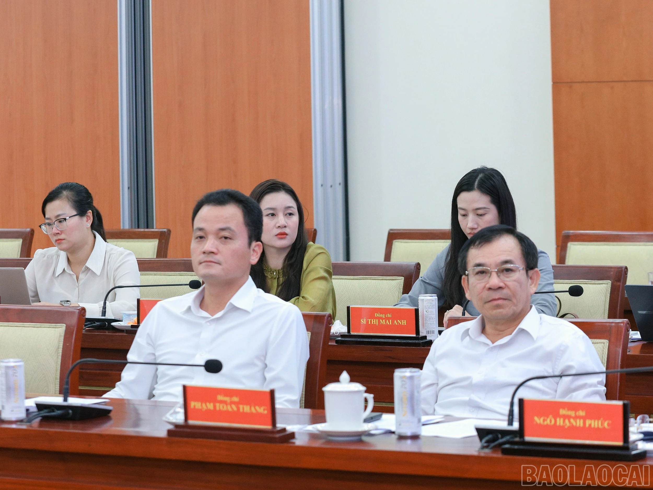 baolaocai-br_7j5a7499.jpg
