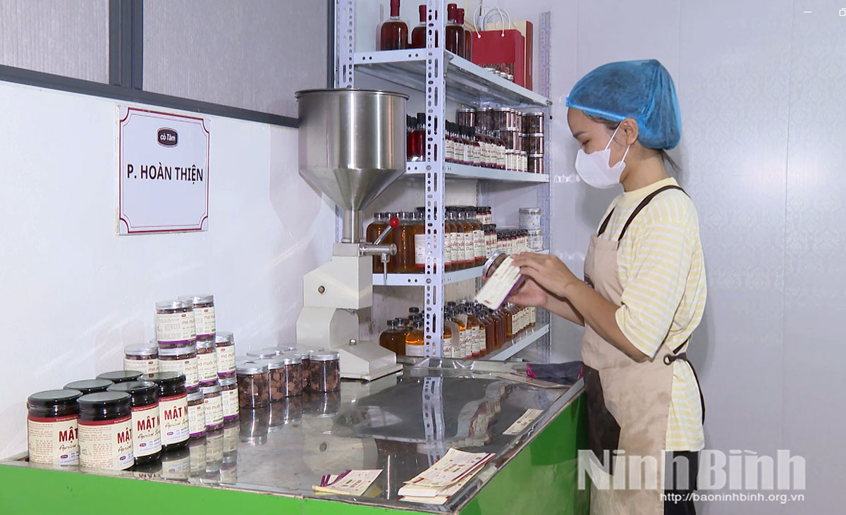 Sản xuất tại Hợp tác xã Thanh niên Bách Cốc, phường Trường Thi, tỉnh Ninh Bình.