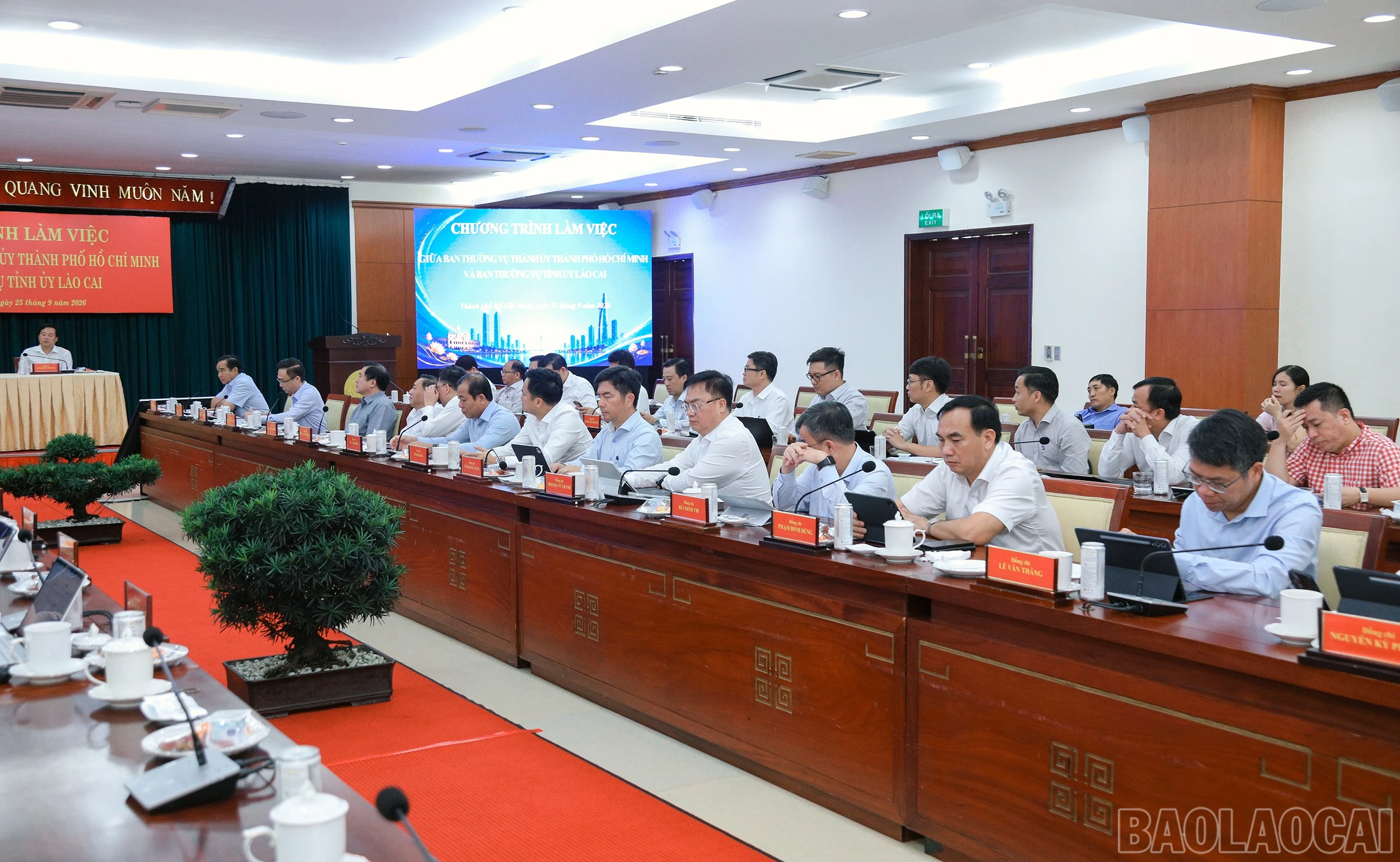 baolaocai-br_7j5a7527.jpg